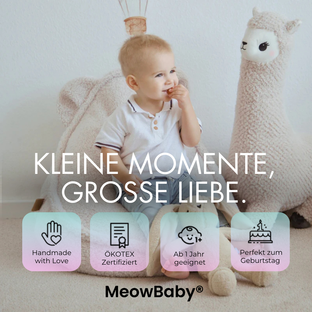 MeowBaby Sitzsack Bearly Bär