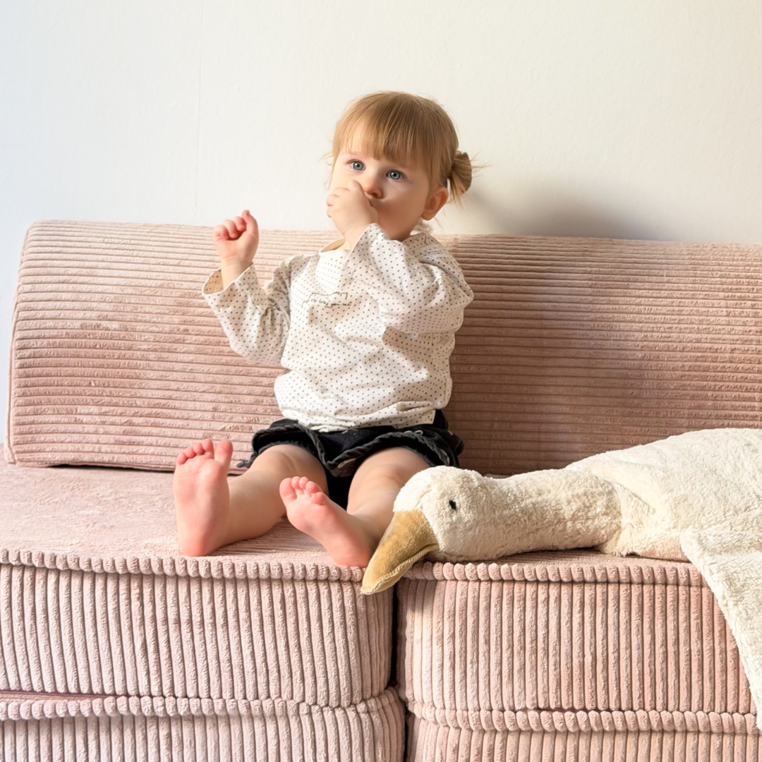 MeowBaby Spielsofa Mini Basic Ästhetik Cord
